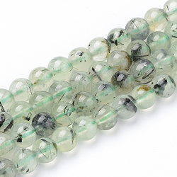 Chapelets de perles en préhnite naturelle, ronde, 6x6mm, Trou: 1mm, Environ 62 pcs/chapelet, 15.5 pouce