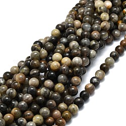 Brins de perles de sunstone noirs naturels, ronde, 10mm, Trou: 1mm, Environ 42 pcs/chapelet, 15.55'' (39.5 cm)