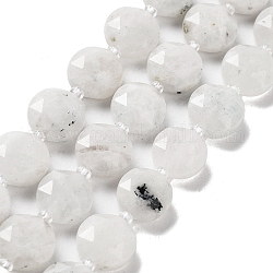 Brins de perles de pierre de lune arc-en-ciel naturel, avec des perles de rocaille, coupe hexagonale facettée, plat rond, 12~12.5x5~6mm, Trou: 1.2~1.4mm, Environ 27~29 pcs/chapelet, 15.55~15.75 pouce (39.5~40 cm)