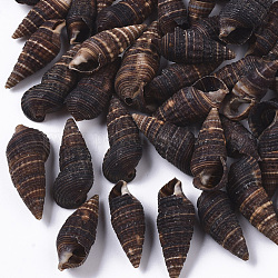 Perles de coquillage en spirale naturelle, coquille de turritella, perles non percées / sans trou, brun coco, 23~33x9~15x8~11mm