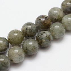 Chapelets de perles en labradorite naturelle, ronde, 10mm, Trou: 1mm, Environ 19 pcs/chapelet, 7.7 pouce