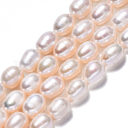Fili di perle di perle d'acqua dolce coltivate naturali, riso, bianco crema, 8~9x6~7mm, Foro: 0.7 mm, circa 36~38pcs/filo, 13.78 pollice (35 cm)