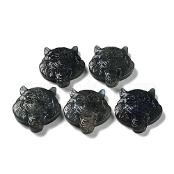 Natürliche Labradorit-Cabochons mit Gravur, Tiger, 43~44x41~41.5x10~11 mm