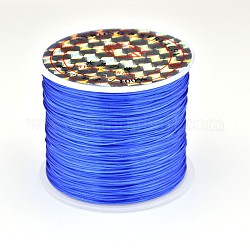 Flat Elastic Crystal String, Elastic Beading Thread, for Stretch Bracelet Making, Dodger Blue, 0.6mm, about 54.68 yards(50m)/roll