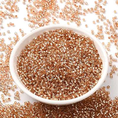Бисер из стекла  X-SEED-S042-04B-17-1
