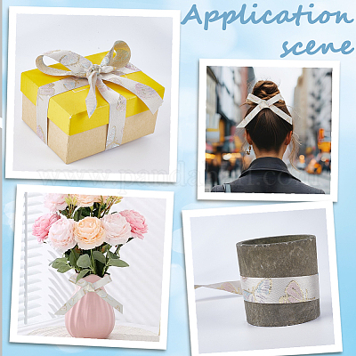 Полиэфирные ленты&nbsp;SRIB-WH20020-061A-02A-1