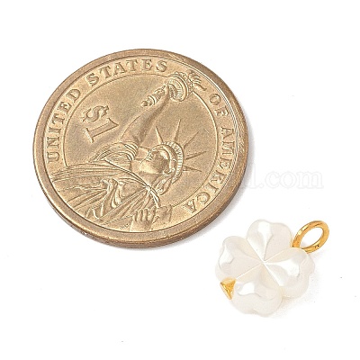 Пластиковые жемчужные прелести PALLOY-JF04027-02-1