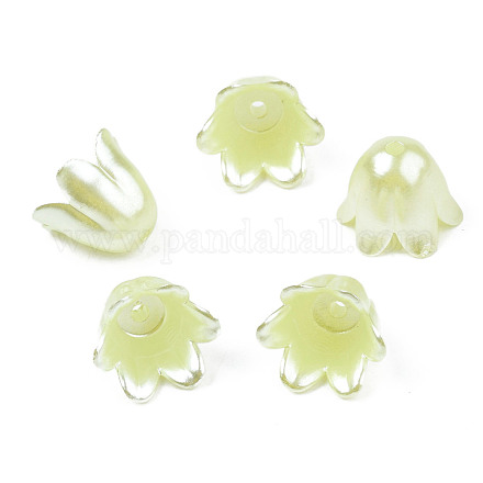 Аэрозольная краска абс пластик имитация жемчуга бусины MACR-N013-001E-1