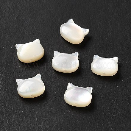 Perles de coquillage blanc naturel SHEL-G014-10B-01-1