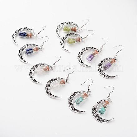 Glass Bottle with Natural & Synthetic Mixed Stone Inside Dangle Earrings EJEW-JE02052-1