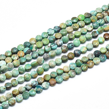 Natural HuBei Turquoise Beads Strands G-D0003-A60-1