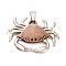 Tibetan Style Alloy Pendants, Crab, Mixed Color, 28x41.5x6mm, Hole: 6.5x4.5mm