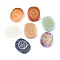 7Pcs 7 Styles Chakra Natural Mixed Gemstone Display Decorations, Figurine Home Decoration Reiki Energy Stone Display Decorations, Oval, 25x20x7mm, 1pc/style