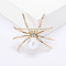 Spider with Plastic Pearl Pins, Alloy Brooches for Girl Women Gift, Golden, 49x40mm