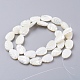 Chapelets de perles de coquille de trochid / trochus coquille SSHEL-K015-05-2