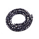 Natural Freshwater Shell Beads Strands SHEL-N003-33-A01-2