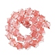 Cherry Quartz Glass Beads Strands G-NH0005-021-3