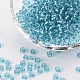 6/0 perles de rocaille en verre SEED-A005-4mm-23-1