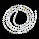 Natural Freshwater Shell Beads Strands BSHE-T009A-01A-3