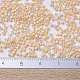 Perles miyuki delica petites X-SEED-J020-DBS0205-4