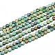 Natural HuBei Turquoise Beads Strands G-D0003-A60-1
