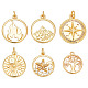 12шт 6 стиля латунные подвески KK-AR0004-68-1