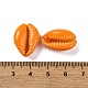 Бусины из ракушек каури SSHEL-M023-01C-3