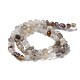 Natural Botswana Agate Beads Strands G-D081-A03-3