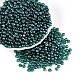 Прозрачное стекло Бисер SEED-N007-33A-09-1