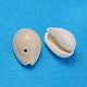 Natürliche Kaurimuschel Perlen X-BSHE-S056-2