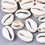 Natürliche Kaurimuschel Perlen, kein Loch / ungekratzt, creme-weiß, 20~28x15~20x8~9 mm