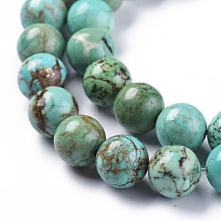 Природные Говлит бисер нитей X-TURQ-F017-02-10mm