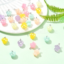 30шт 6 цвета светящиеся непрозрачные подвески из смолы&nbsp;JACR-YW0001-03