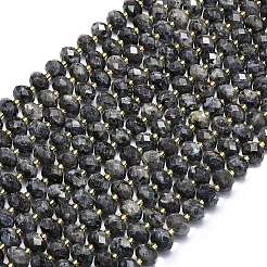 Натуральные нити бус из ларвикита G-P573-A54-01