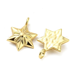 Подвески из сплава  FIND-G061-02G