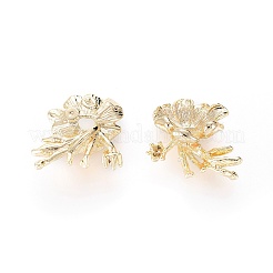 Сеттинги латунь горный хрусталь&nbsp;LS-KK-G151-54G