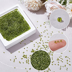 Perle di semi di vetro 100g&nbsp;SEED-SP0001-11C
