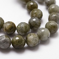 Природные лабрадорита бисер нитей G-G736-04-10mm