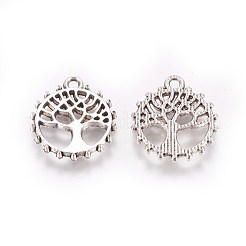 Тибетский стиль сплава цинка подвески PALLOY-F248-011AS