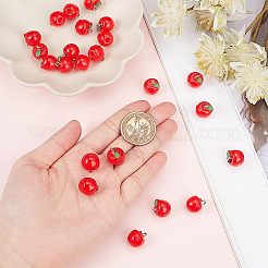 25 шт. подвески из непрозрачной смолы ко Дню учителя RESI-SC0002-43