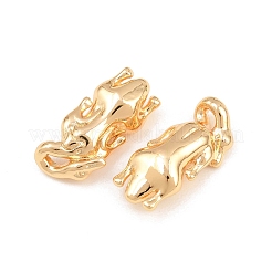 Messing Anhänger & Charms&nbsp;KK-CBA6818-07G