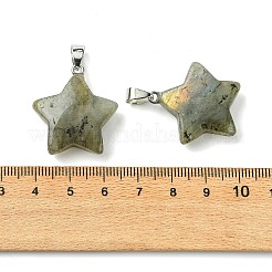 Natur Labradorit Anhänger&nbsp;GG-K002-10G
