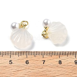 Подвески в форме ракушек из натурального агата G-U025-06G