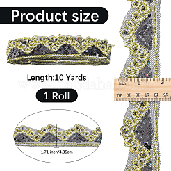 Funkelndes Polyester-Spitzenband&nbsp;SRIB-WH20020-049D