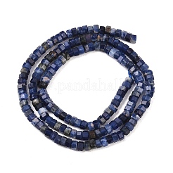 Chapelets de perles en sodalite naturelle&nbsp;G-G345-C31-2x4mm