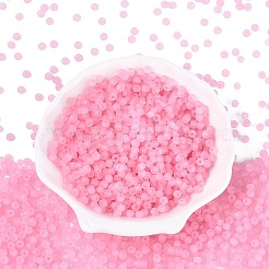 Perles de rocaille en verre transparent dépoli fgb&nbsp;SEED-N013-02A-05