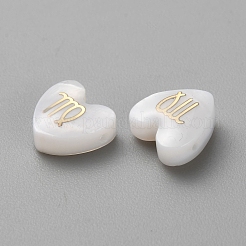 5pcs perles de coquillage blanc naturel&nbsp;LS-BSHE-TAC0004-02H