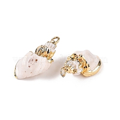 Подвески из натуральной морской раковины&nbsp;SSHEL-N038-42