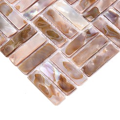 Piastrelle a mosaico in conchiglie naturali d'acqua dolce&nbsp;SHEL-Q029-02