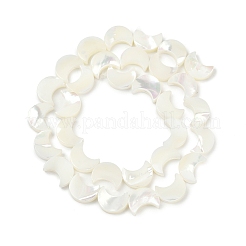 Нити бусин из натуральной белой ракушки SSHEL-10X12